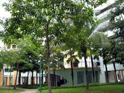 Blk 321C Anchorvale Grove (Sengkang), HDB 5 Rooms #591841871